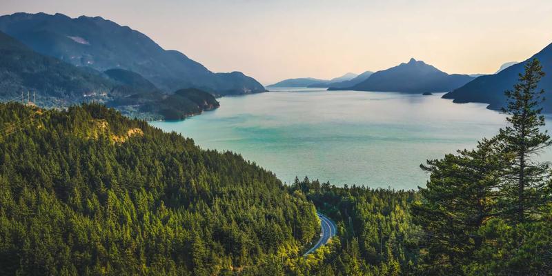 口腔微生物组：守护全身健康的“第二大脑”，益生菌漱口水与饮食平衡新策略