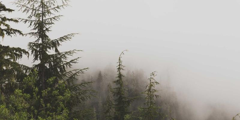 告别喷嚏眼泪！用天然疗法战胜季节性过敏，开启久久愉悦的健康生活