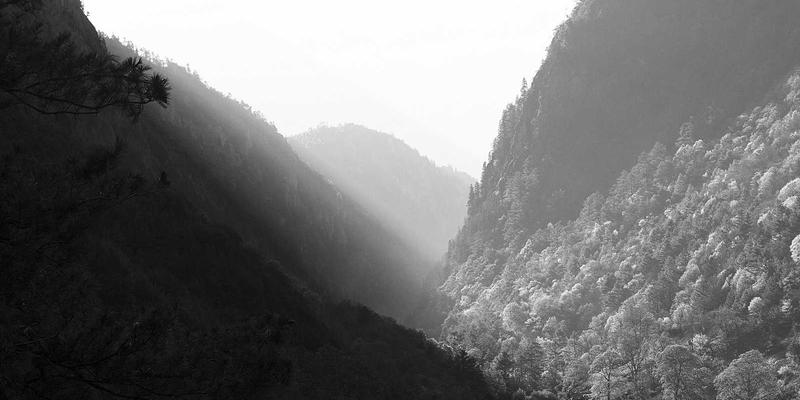 告别“电脑颈”:办公室人群必学的10分钟颈椎保健操,轻松缓解肩颈酸痛