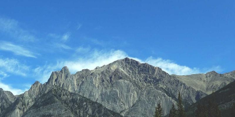 情绪与肠道：解锁“第二大脑”的双向养生密码