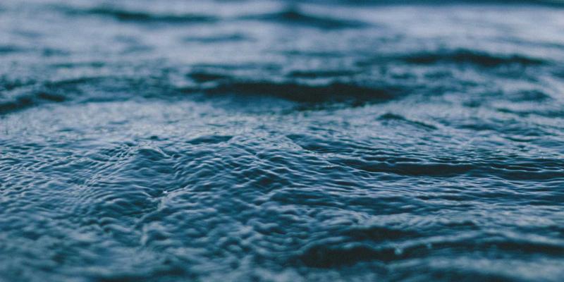 护发即养生:从肝肾调理到头皮按摩,一套让你秀发丰盈、身心愉悦的内外兼修法