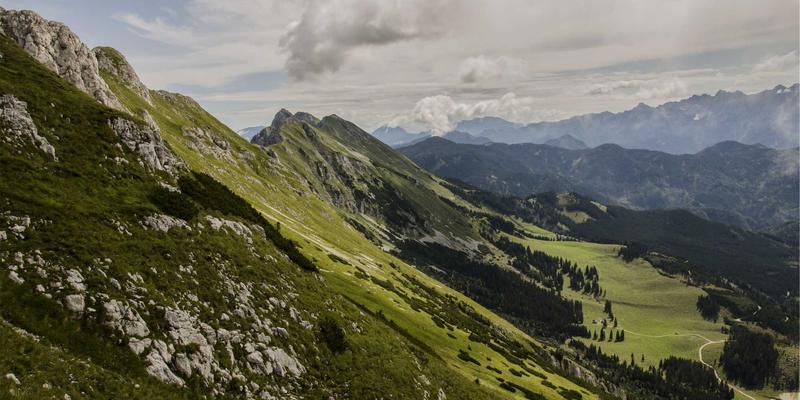 肠道健康新革命:从益生元到后生元,3大策略打造你的内在生态花园
