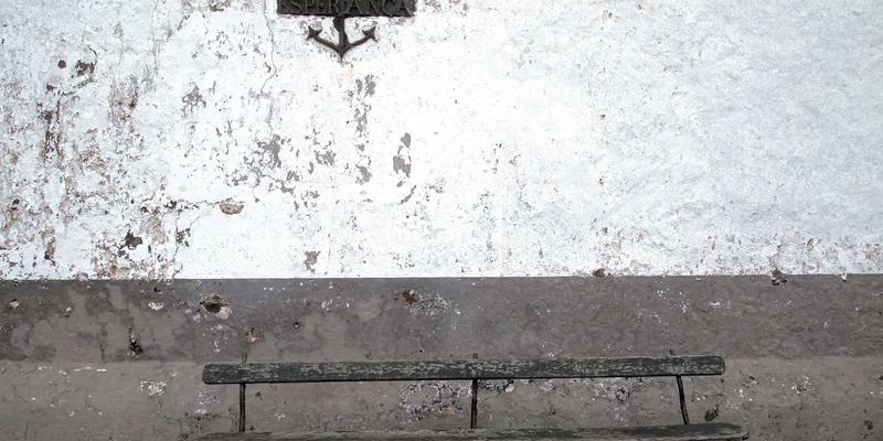 肠道菌群平衡:解锁“久久愉悦”健康状态的益生菌食物科学指南